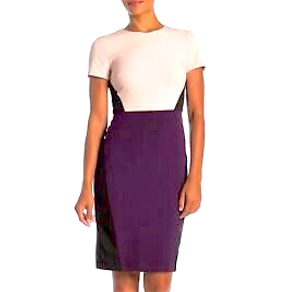 Vince Camuto Bi-Stretch Color Block Sheath Dress - image 1